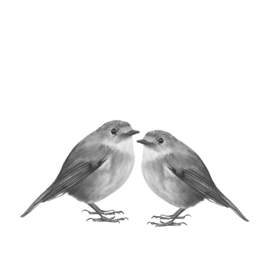 Two Robins Hand Drawn Greeting Card — card front