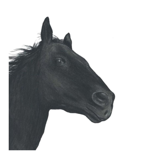 Stribor the Horse Hand Drawn Greeting Card — card front