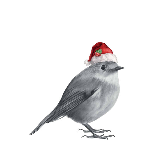 Robin Santa Hat Festive Christmas Card — card front