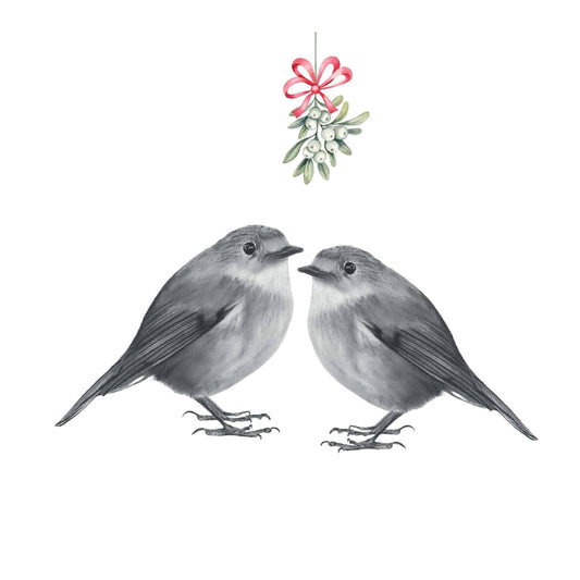 Robin Kisses Mistletoe Festive Christmas Card — card front