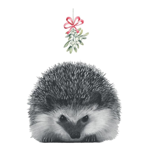 Christmas Mistletoe Hedgehog Festive Christmas Card — card front