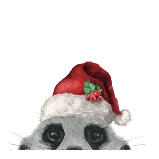 Myra the Peeking Meerkat Santa Hat Festive Christmas Card — card front