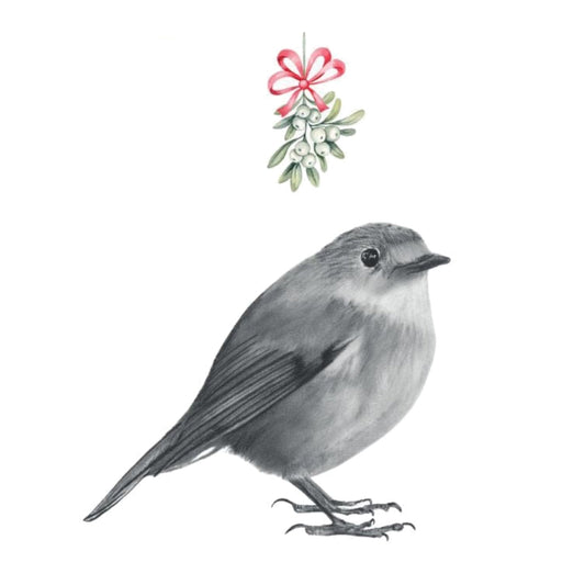 Robin Mistletoe Christmas Greeting Card — card front