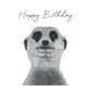 Cheeky Meerkat Birthday Card – Hand-Drawn Illustration — card front