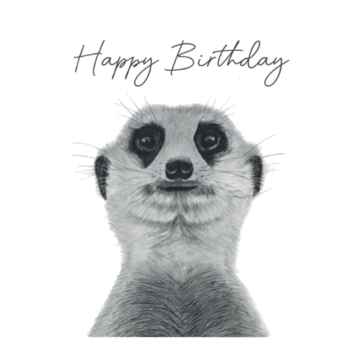 Cheeky Meerkat Birthday Card – Hand-Drawn Illustration — card front