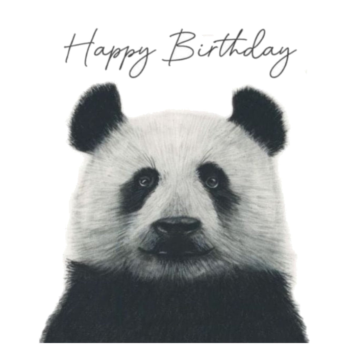 Happy Birthday Panda Card — card front