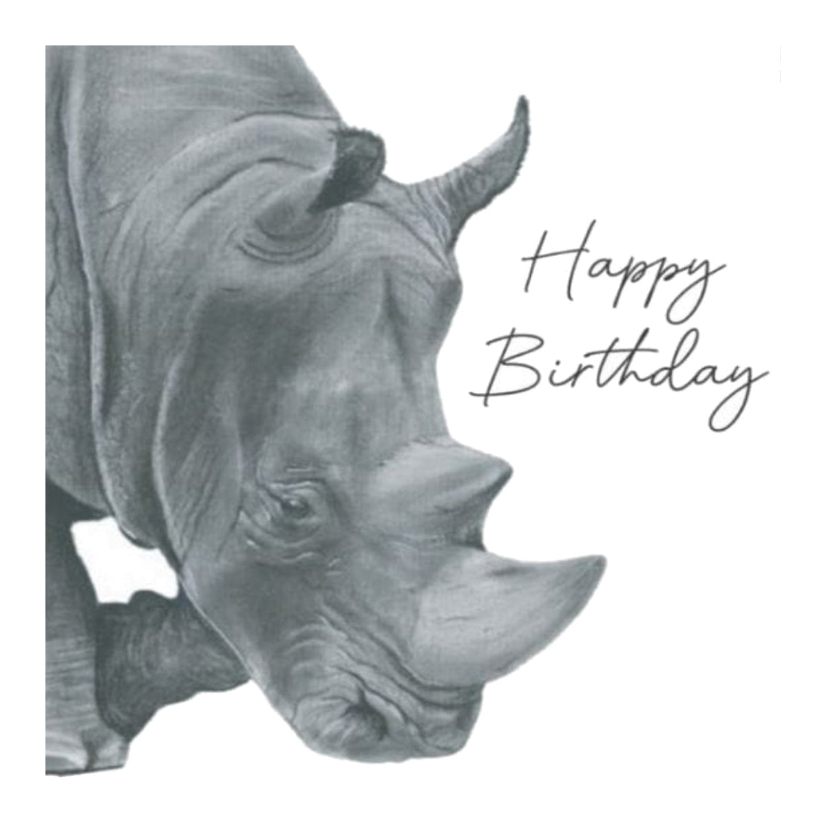 Happy Birthday Rhino Card – Hand-Drawn Illustration — card front