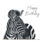 Happy Birthday Zebra Card — card front