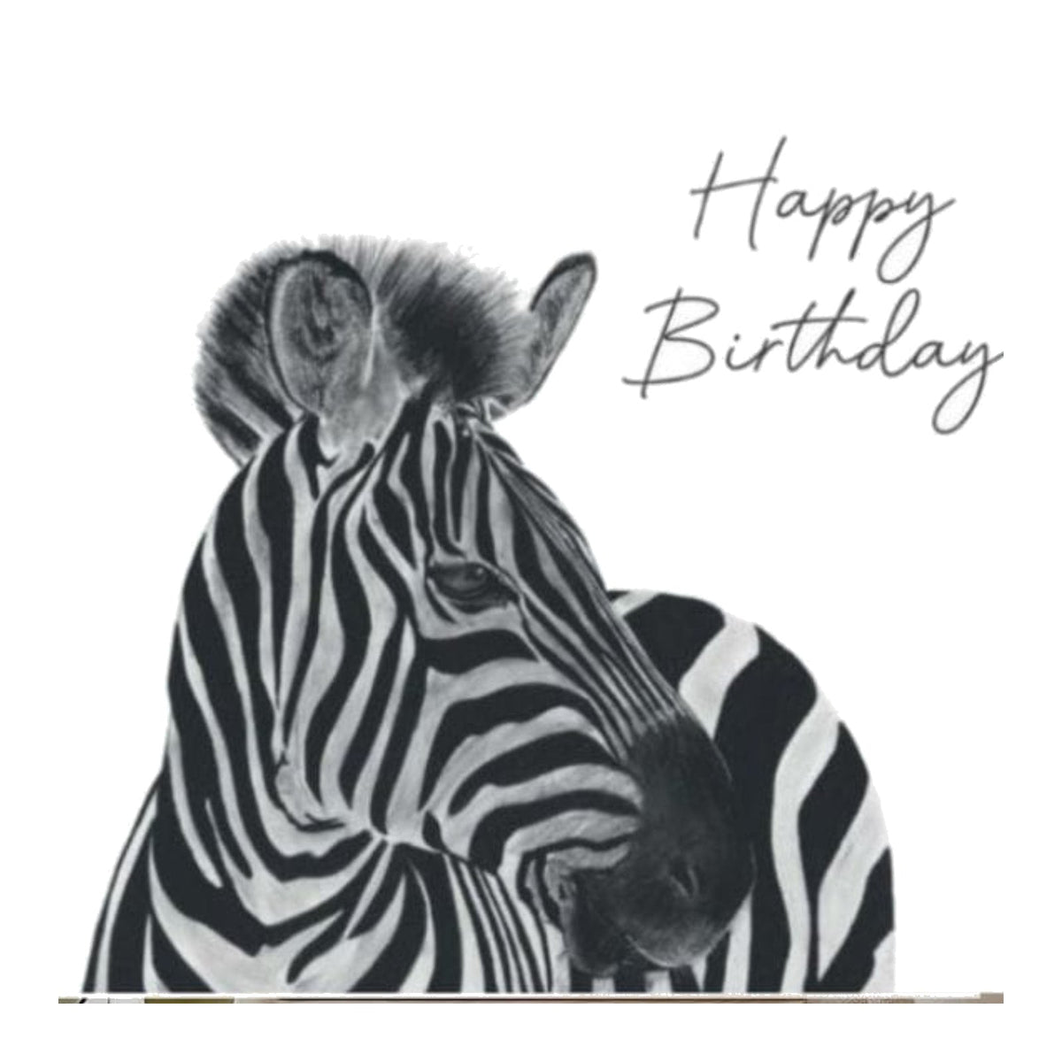 Happy Birthday Zebra Card — card front