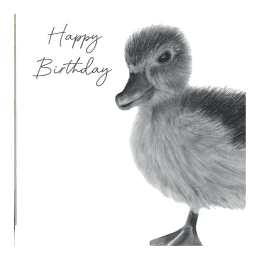 Happy Birthday Duckling Card — card front