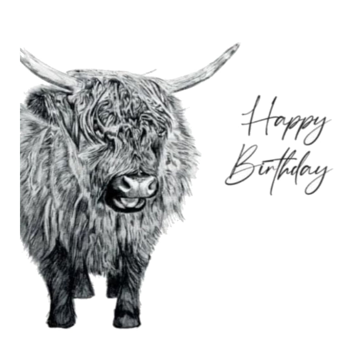 Happy Birthday Baby Highland Cow — card front
