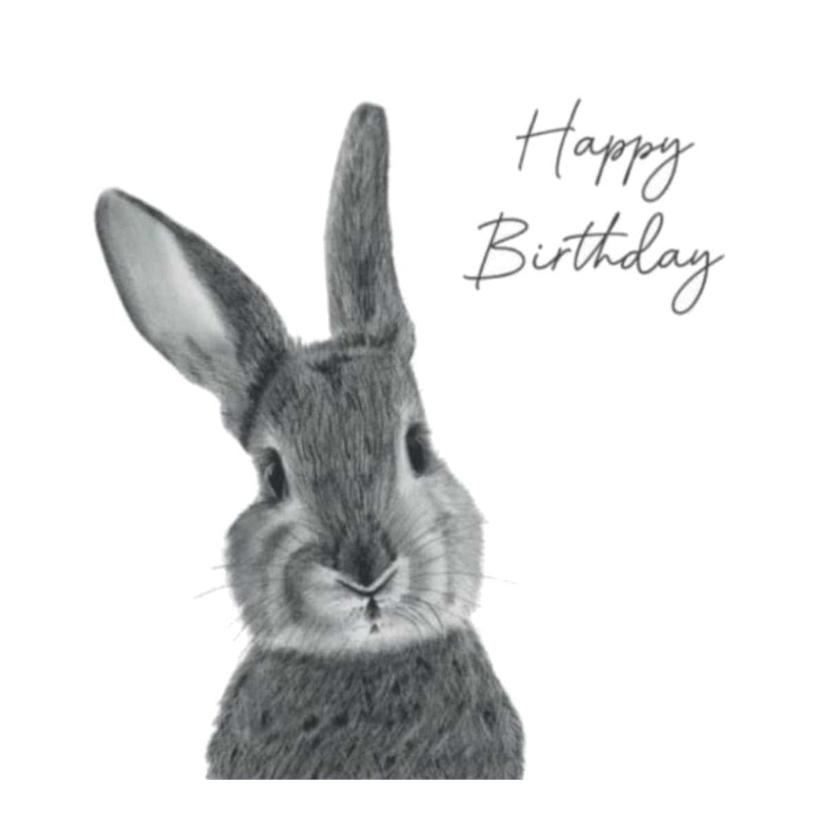 Happy Birthday Bunny Card — card front
