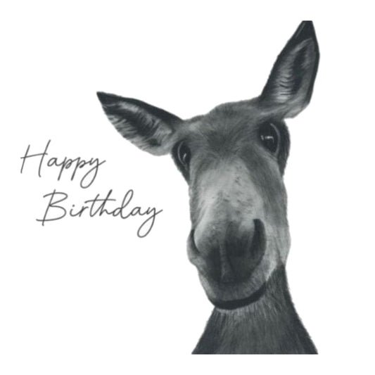 Happy Birthday Donkey Card — card front