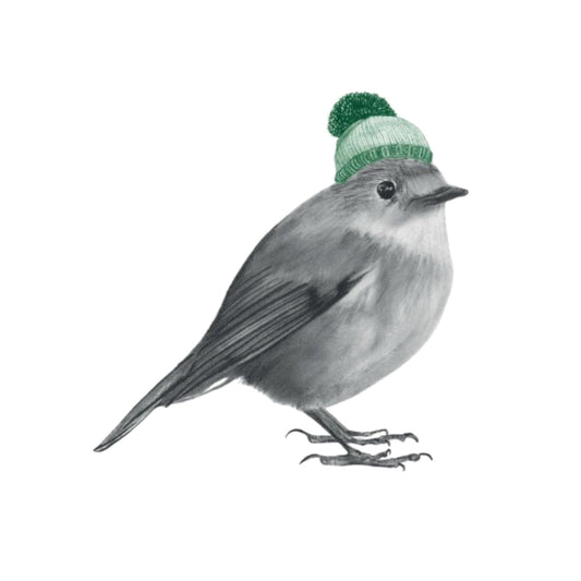 Winter Robin Greeting Card — card front
