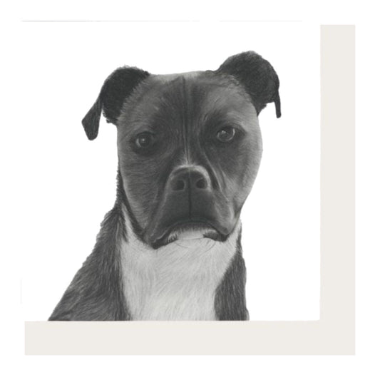 Staffy Cross Jabbah Greeting Card — card front