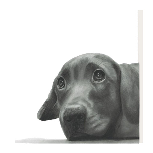 Maru the Labrador Puppy Greeting Card — card front