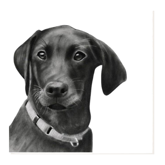 Avoir the Labrador Greeting Card — card front