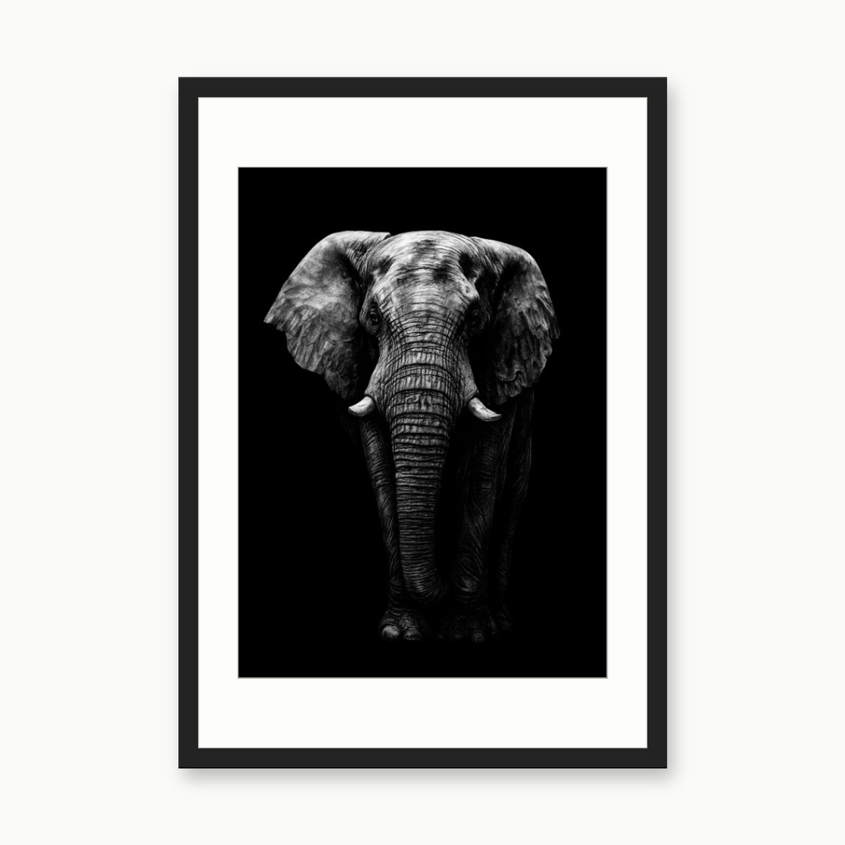 Atik the Elephant Fine Art Print – Hand-Drawn Wildlife Artwork – black rectangular frame with white mount