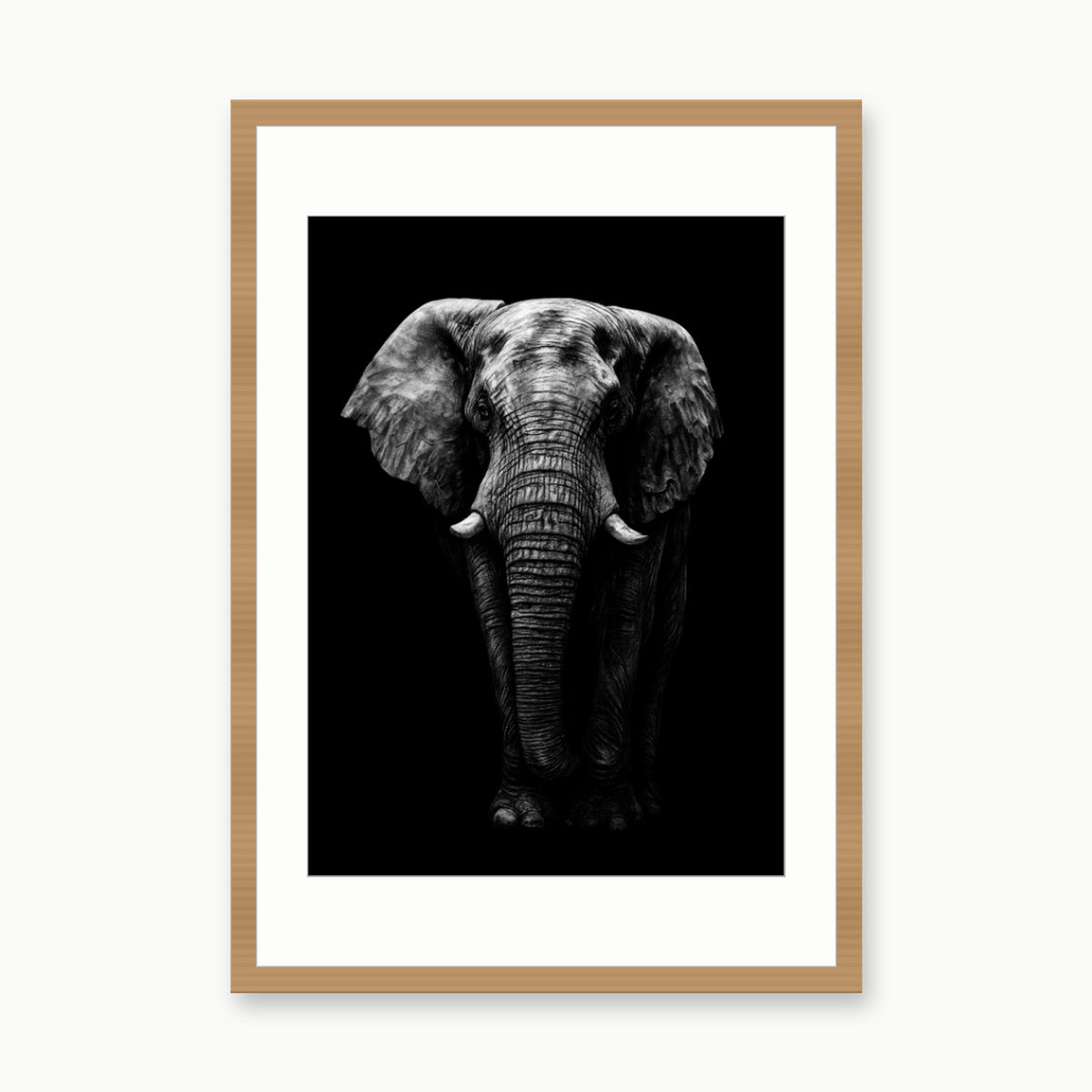 Atik the Elephant Fine Art Print – Hand-Drawn Wildlife Artwork – oak rectangular frame with white mount