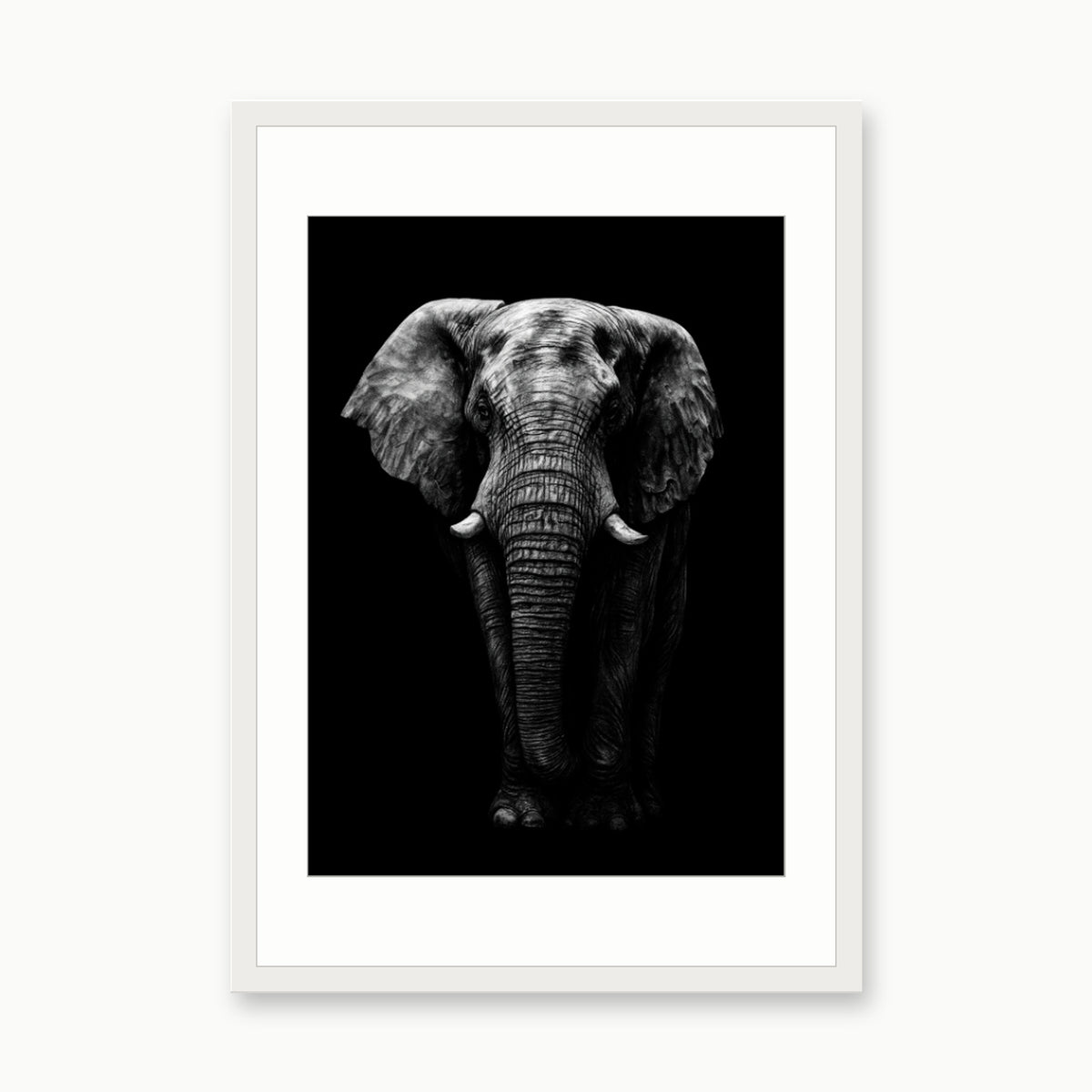 Atik the Elephant Fine Art Print – Hand-Drawn Wildlife Artwork – white rectangular frame with white mount