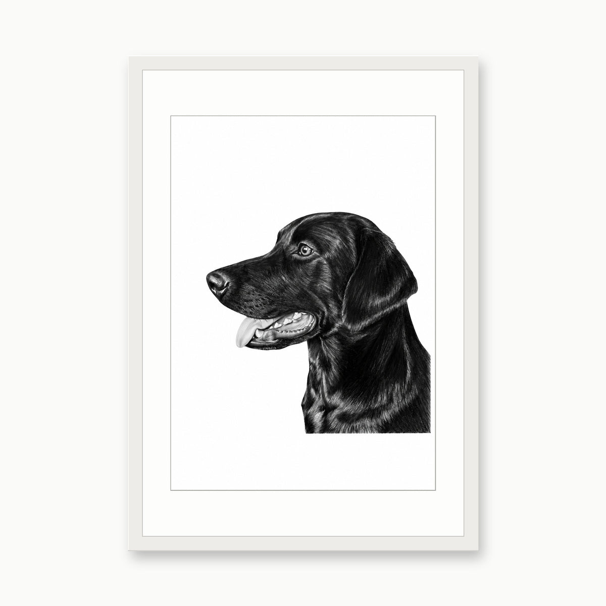 Black Labrador Fine Art Print – white rectangular frame with white mount