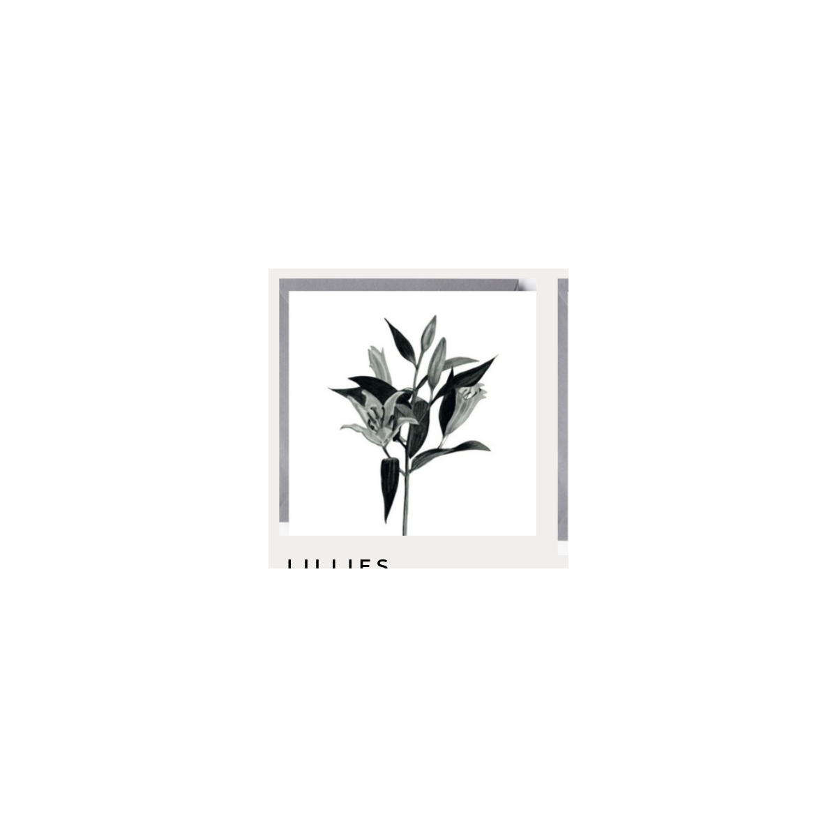 Lillies Greeting Card