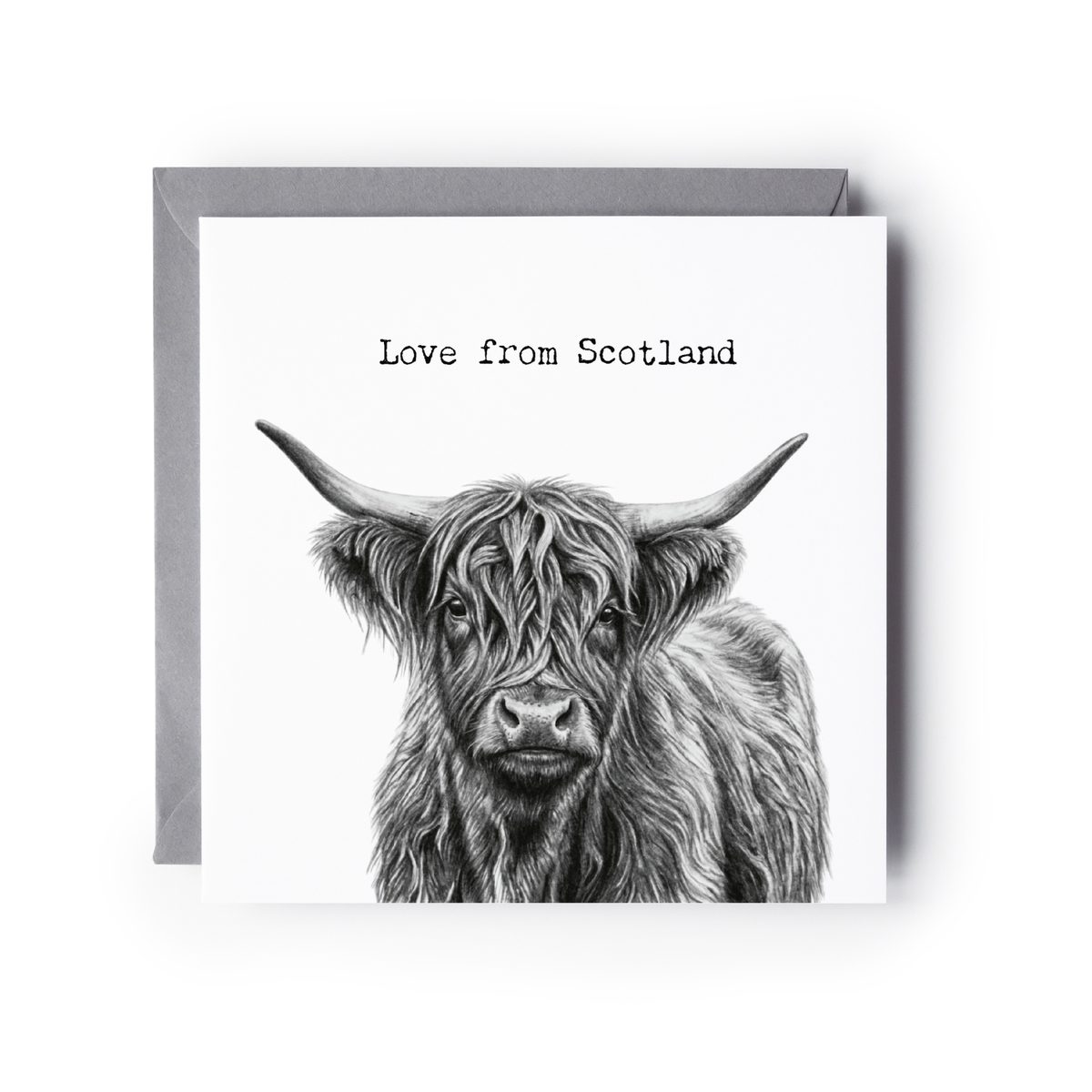 Love From Scotland Highand Coo Greeting Card