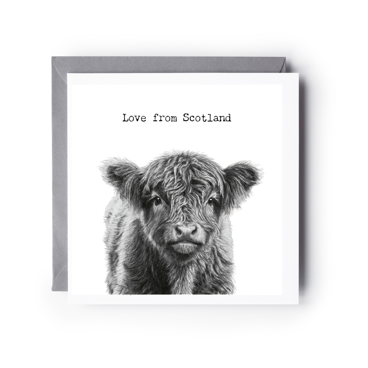 Love From Scotland Highland Coo Calf Greeting Card