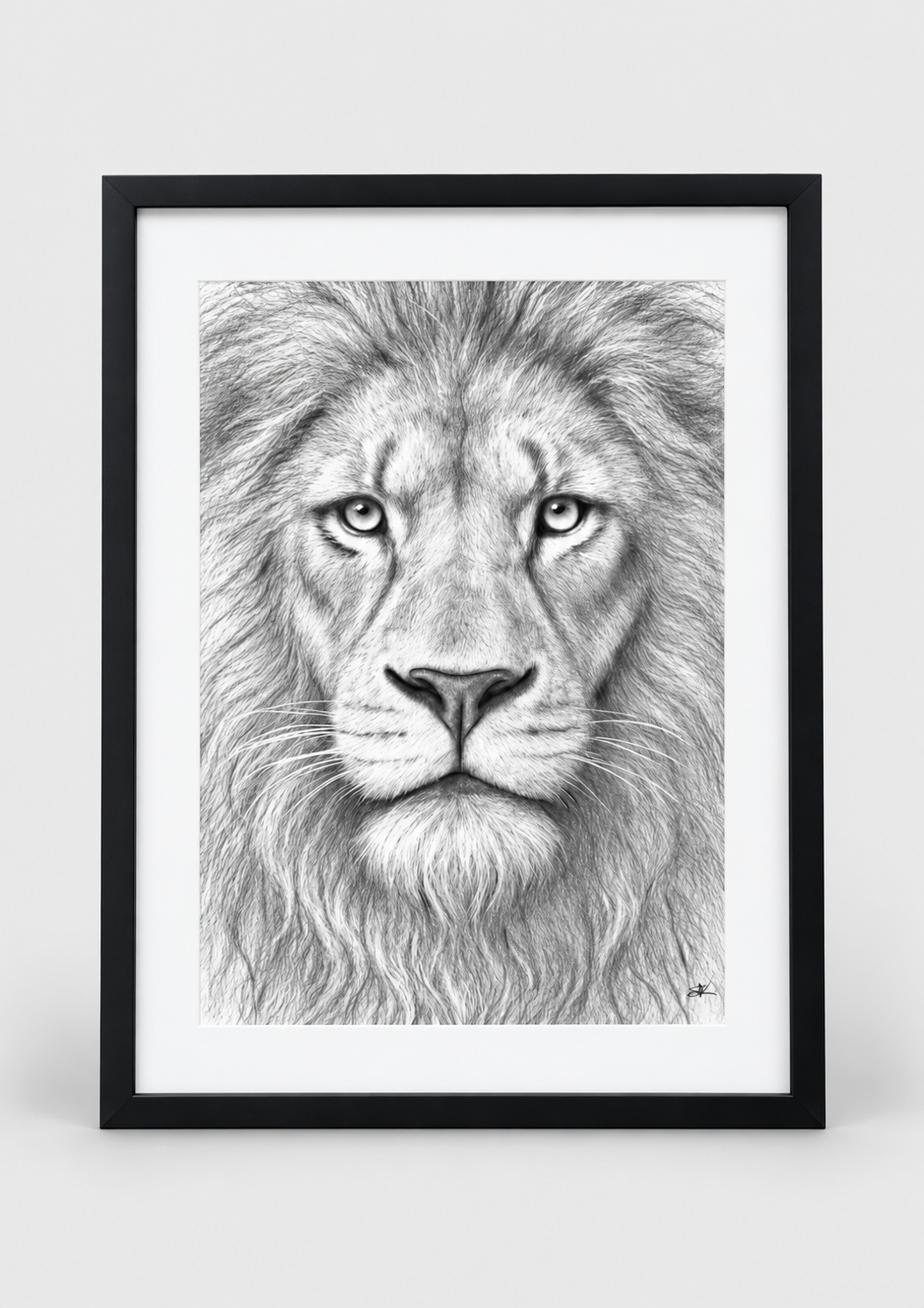 Majestic Lion Fine Art Print – Black portrait frame with white mount