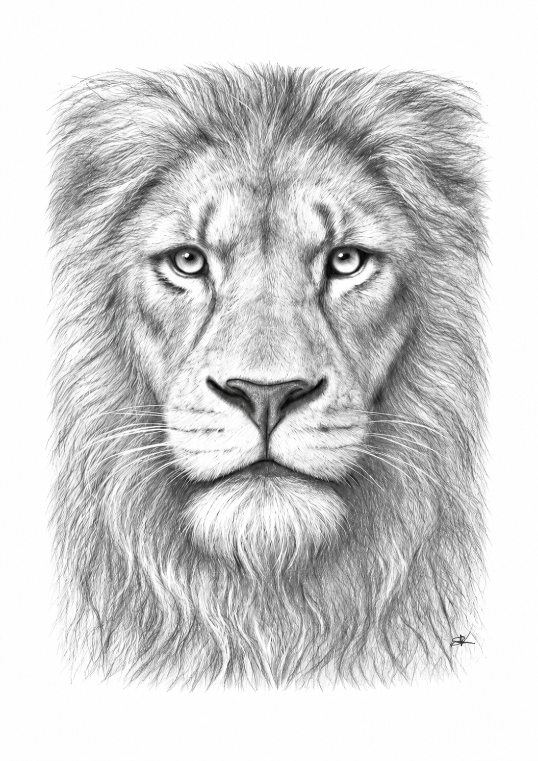 Majestic Lion Fine Art Print – unframed portrait preview