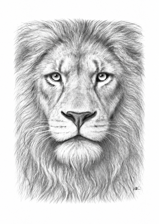 Majestic Lion Fine Art Print – unframed portrait preview