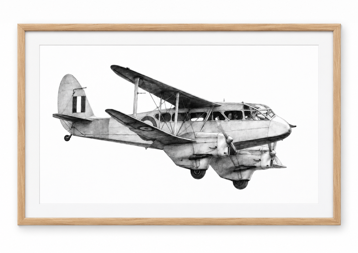 de Havilland aircraft in oak frame with white mount