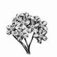 Monochrome flowers sympathy greeting card without wording