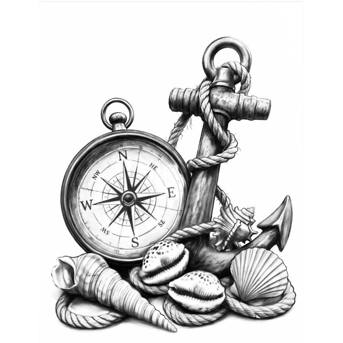 Pencil drawing of a nautical compass, anchor, rope and seashells