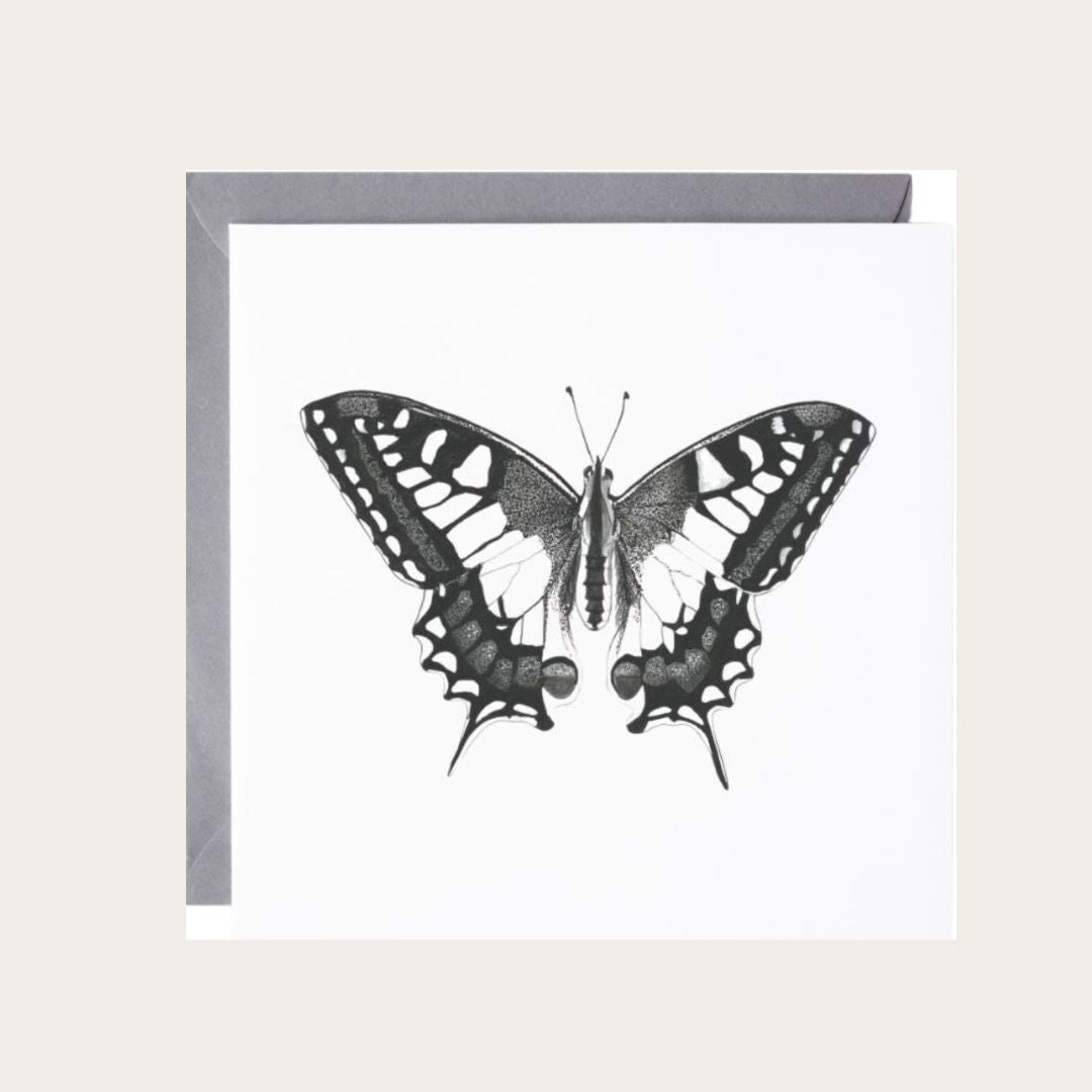 A Hand Drawn Butterfly Greeting Card From Libra Fine Arts. Hand-drawn Old World Swallowtail birthday card featuring a detailed old world swallowtail butterfly