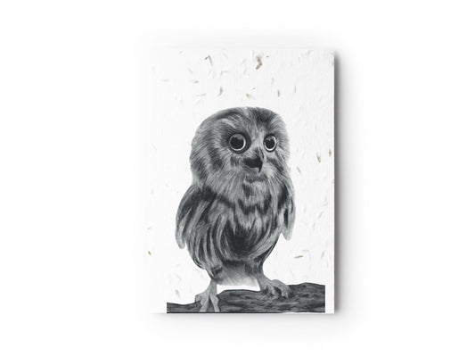 Talitha the Baby Owl Plantable Seeded Eco Card