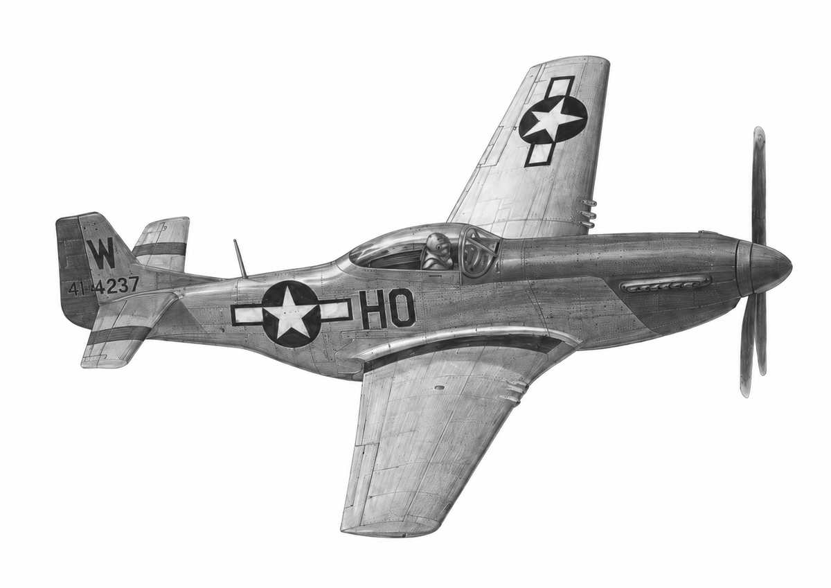 P-51 Mustang unframed artwork