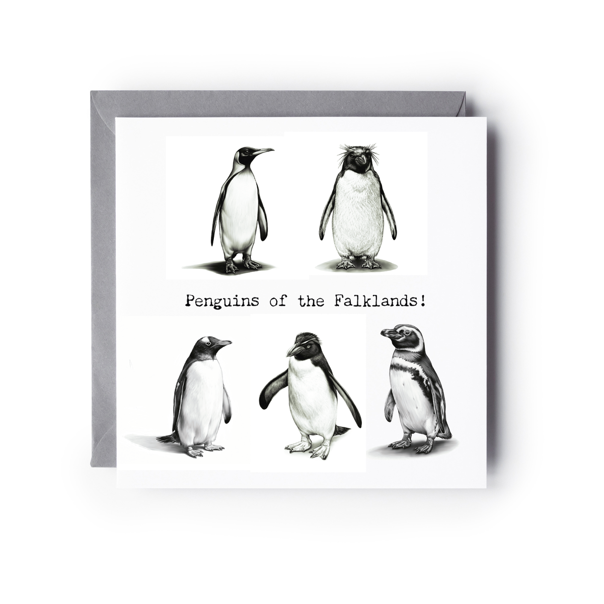 Penguins of the Falklands Greeting Card