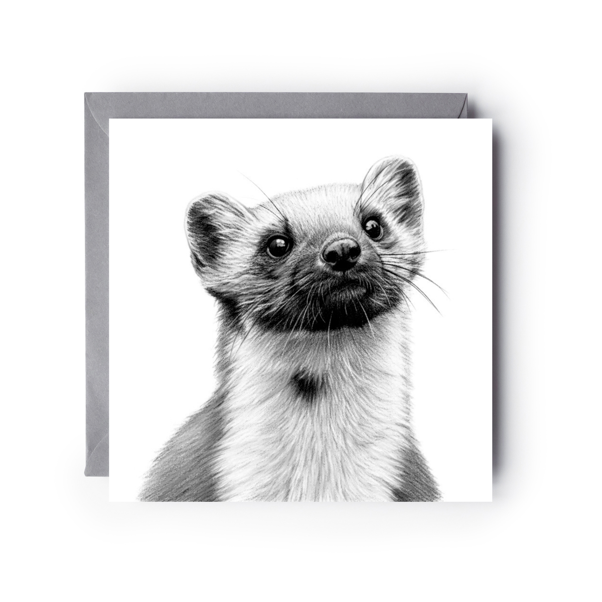 Pine Marten Greeting Card