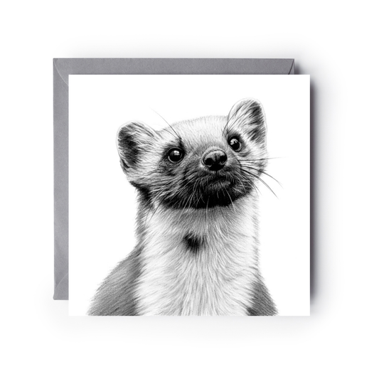 Pine Marten Greeting Card