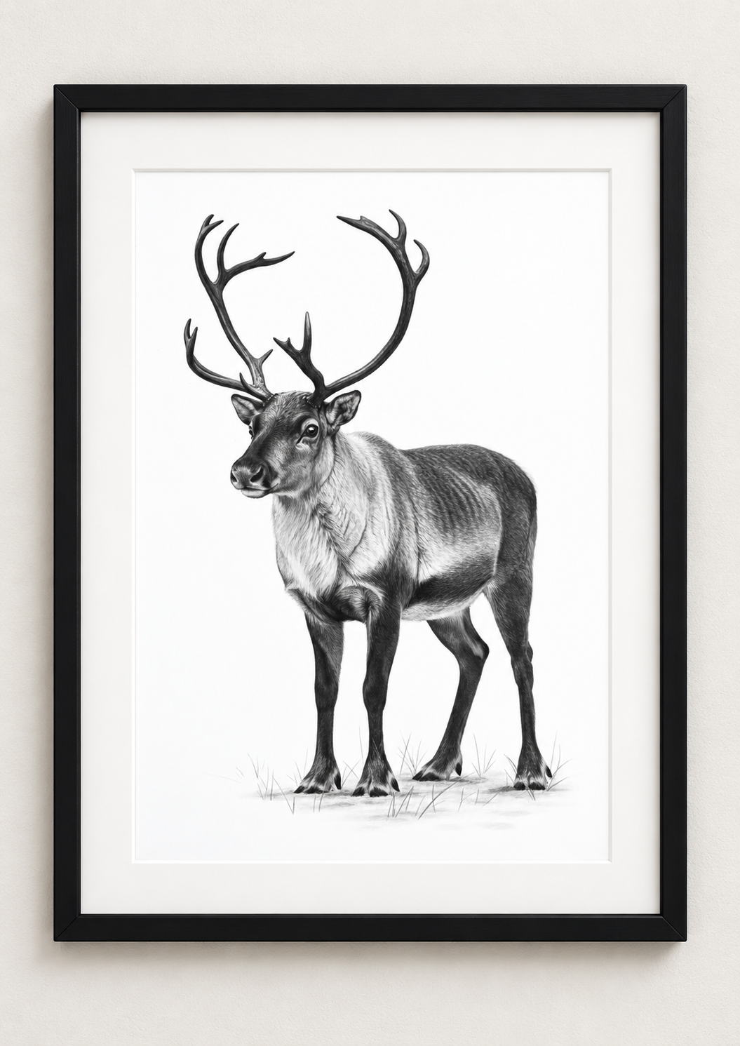 Reindeer Fine Art Print in a black frame with white mount, rectangular A4 style