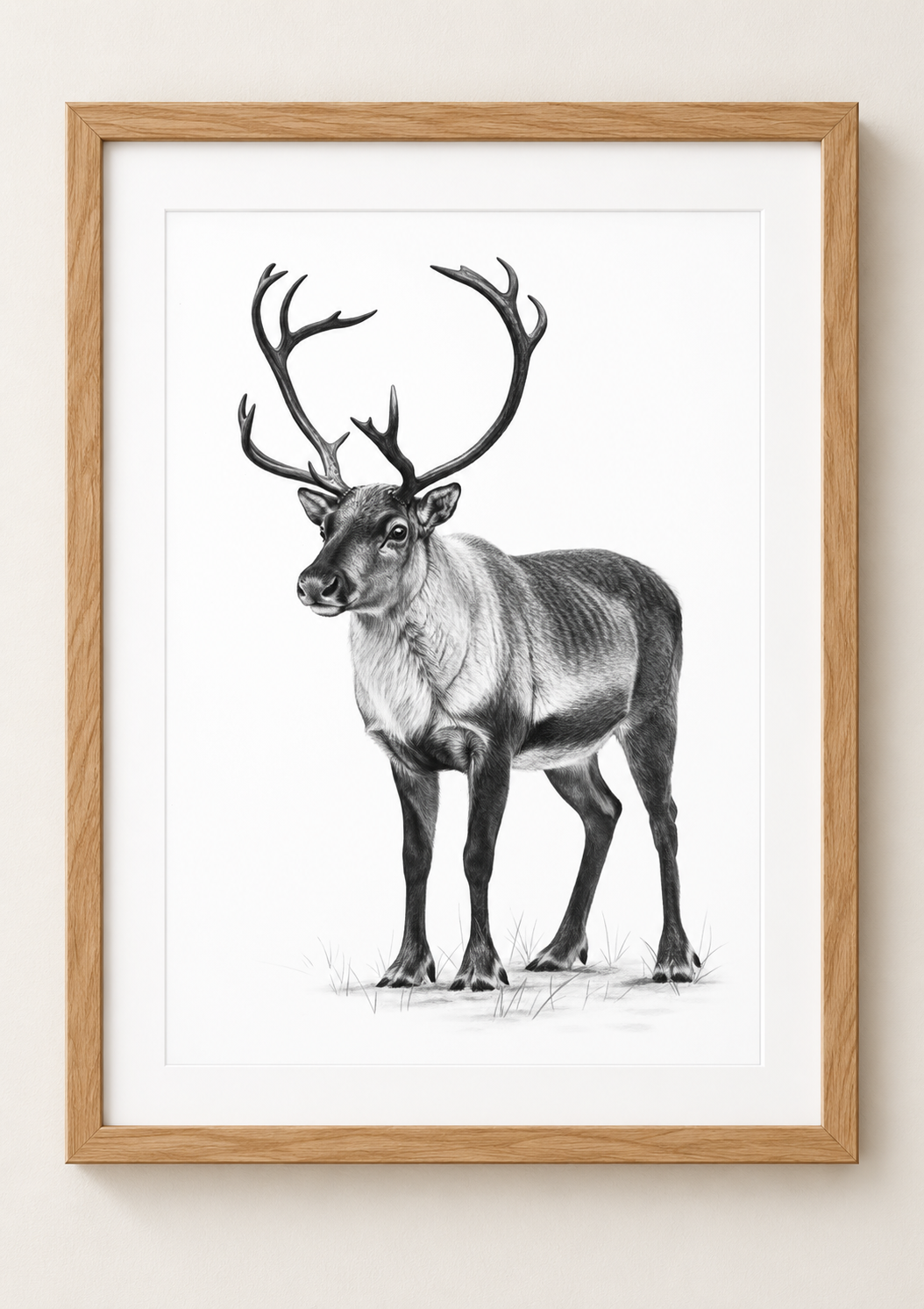Reindeer Fine Art Print in a oak frame with white mount, rectangular A4 style