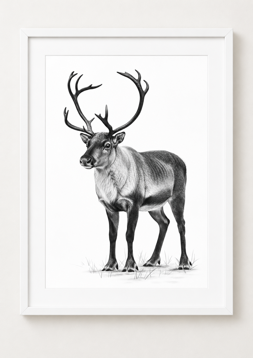 Reindeer Fine Art Print in a white frame with white mount, rectangular A4 style