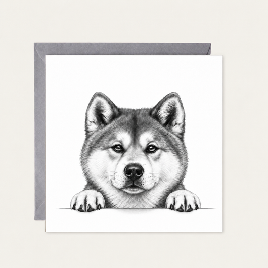 Peeking Siberian Husky greeting card with grey envelope