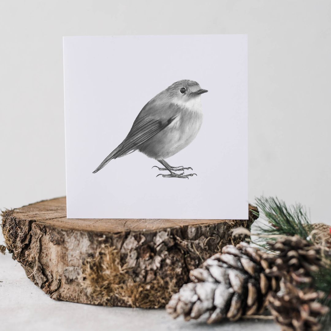 A Hand Drawn Atlas the Robin Greeting Card From Libra Fine Arts