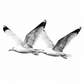 Seagulls in Flight Greeting Card — white-background artwork