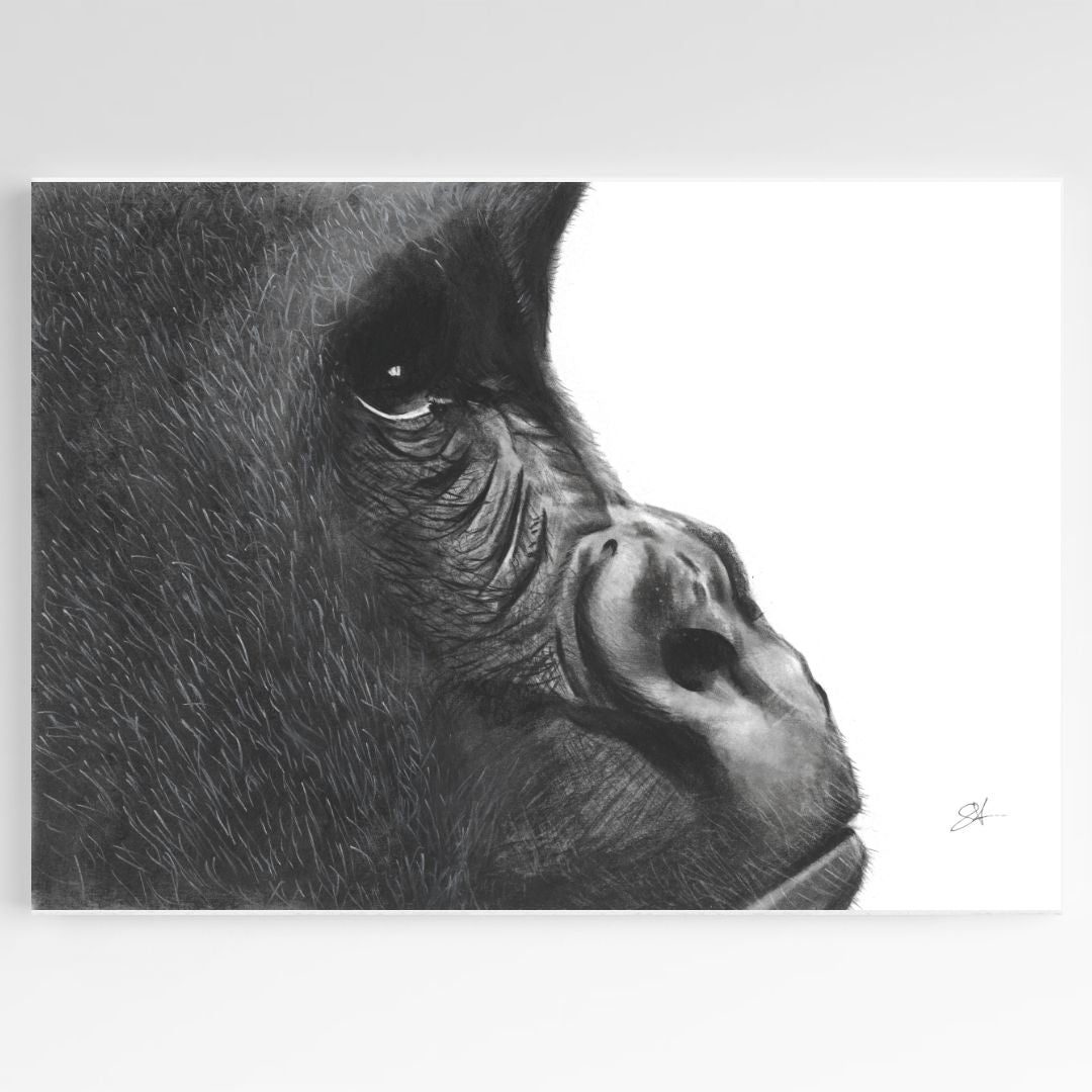 Gorilla Giclée Fine Art Print From Libra Fine Arts