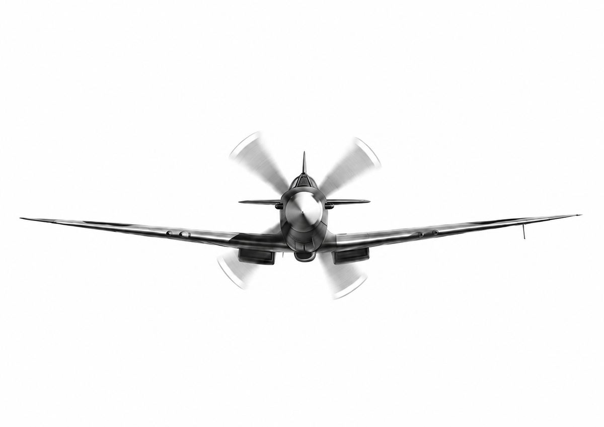 Spitfire front view unframed artwork