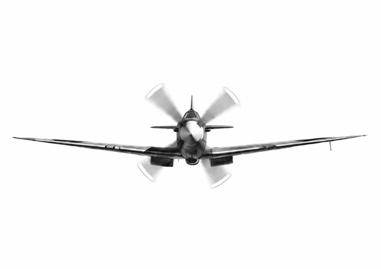 Spitfire front view unframed artwork