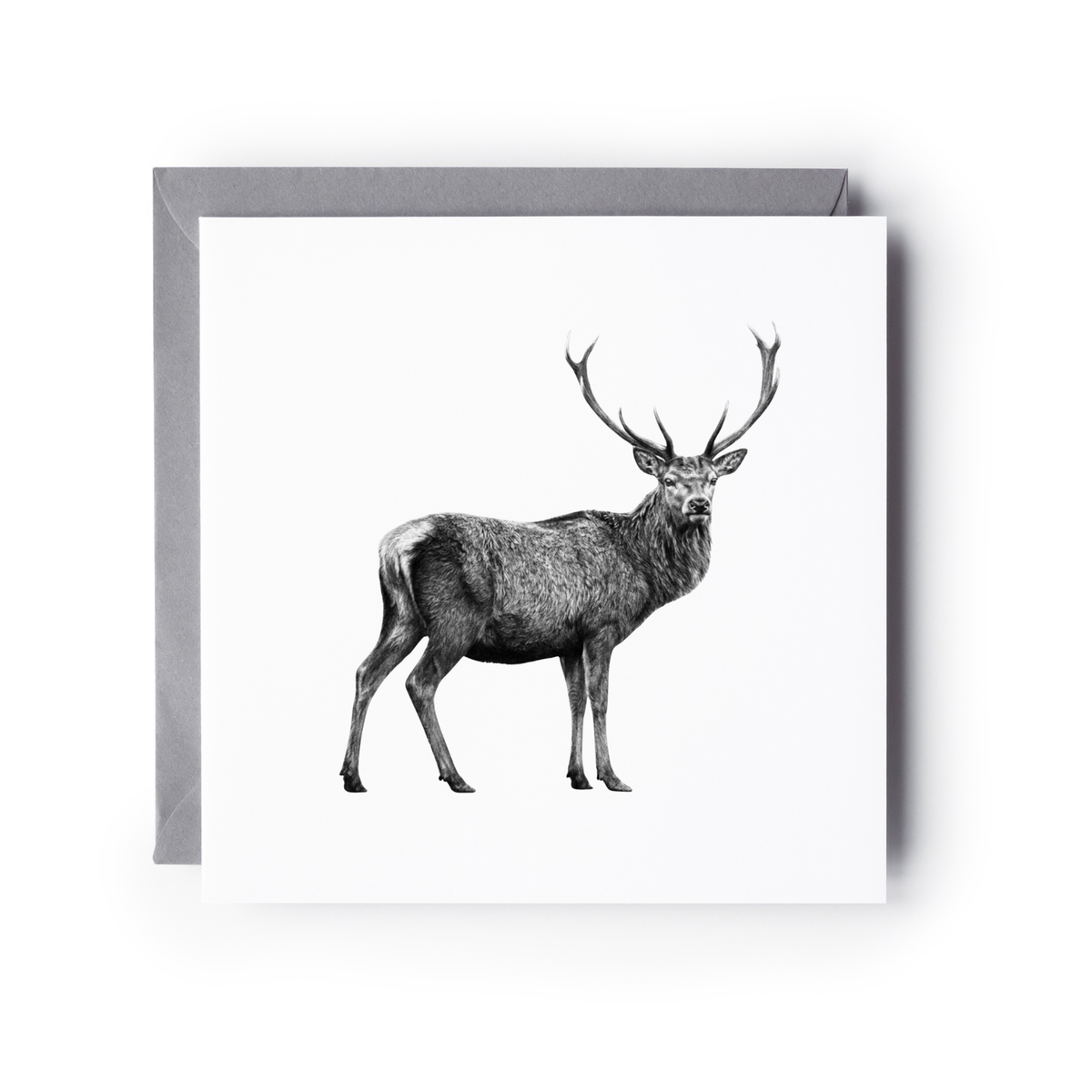 Stag Greeting Card